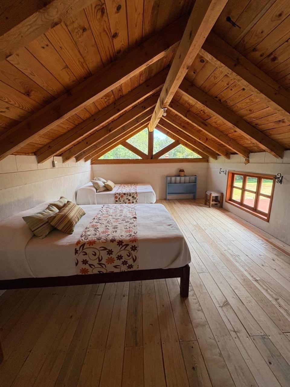 Cabanas Los Cactus 2 Huasca de Ocampo Dış mekan fotoğraf