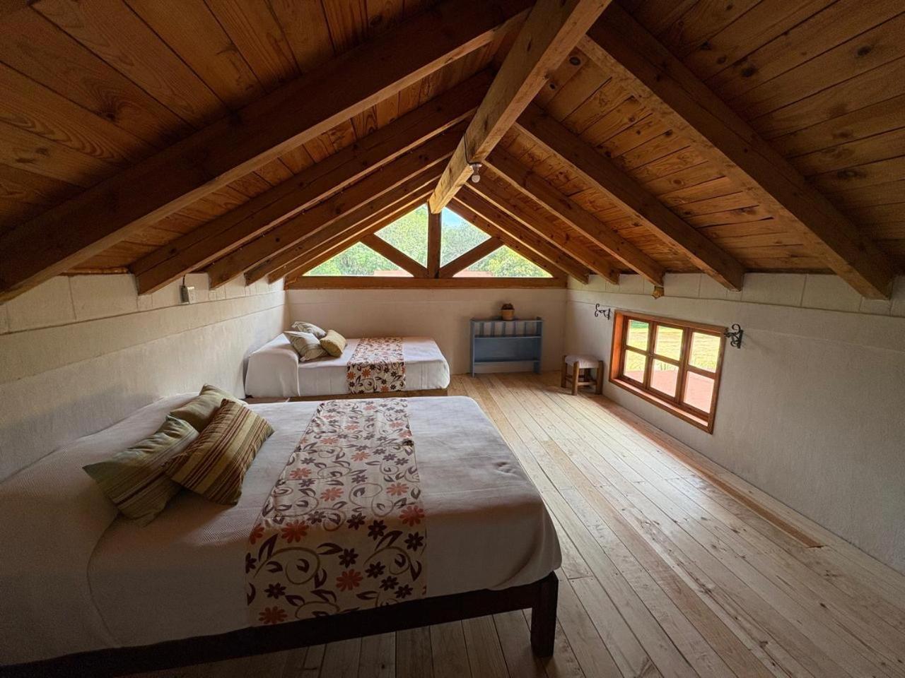 Cabanas Los Cactus 2 Huasca de Ocampo Dış mekan fotoğraf