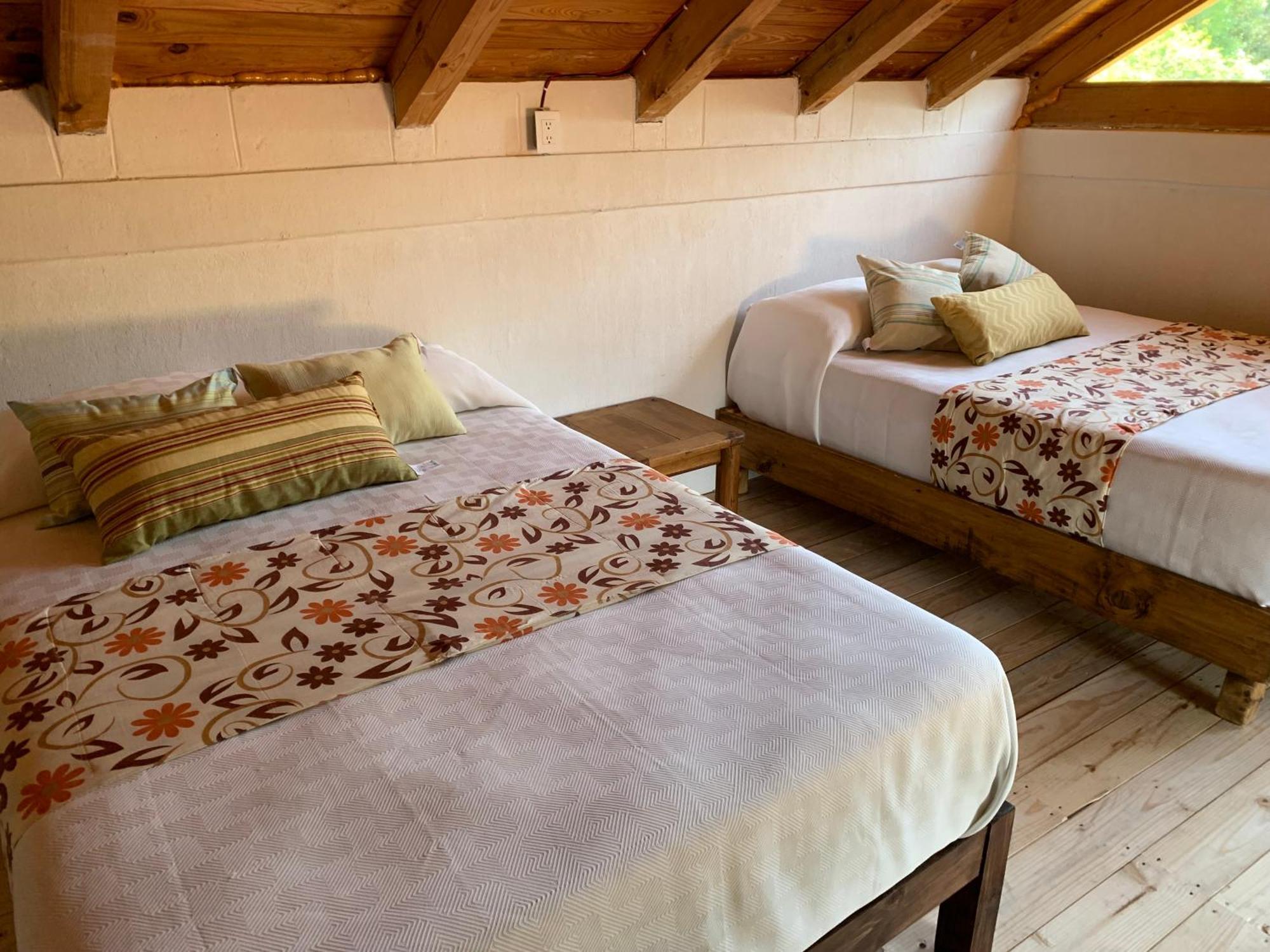 Cabanas Los Cactus 2 Huasca de Ocampo Dış mekan fotoğraf